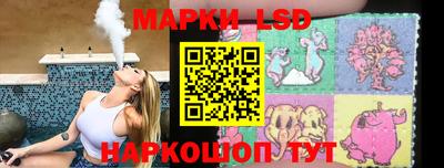 индика Обнинск