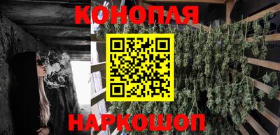 трава Нягань