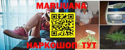 индика Обнинск
