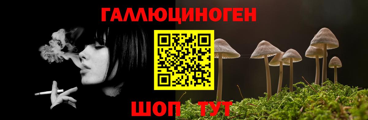 Псилоцибиновые грибы MAGIC MUSHROOMS Ростов-на-Дону